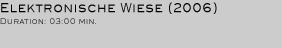ELEKTRONISCHE WIESE